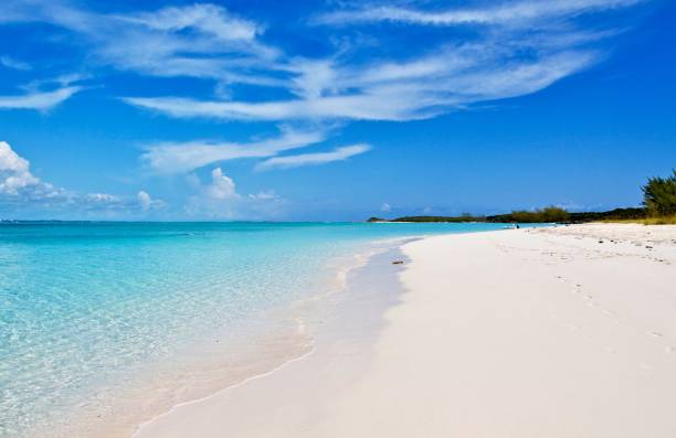 Exotic and tropical Carribean beach. Exuma, Bahamas. Exotic and tropical Carribean beach. Exuma, Bahamas. exuma stock pictures, royalty-free photos & images