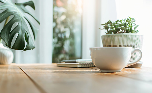 Closeup white cup of coffee with small trees and green leaf in vase on wooden table near bright window