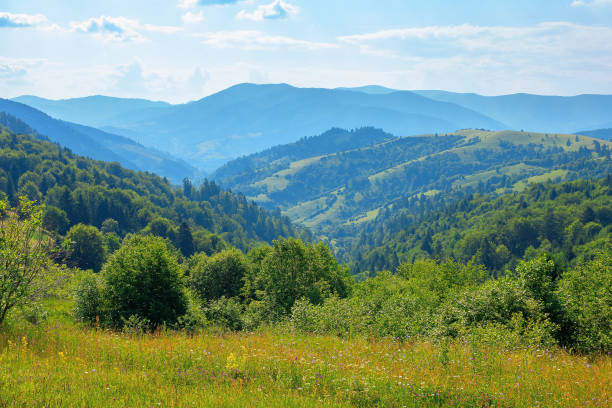 istock countryside landscape in summer 1319630003