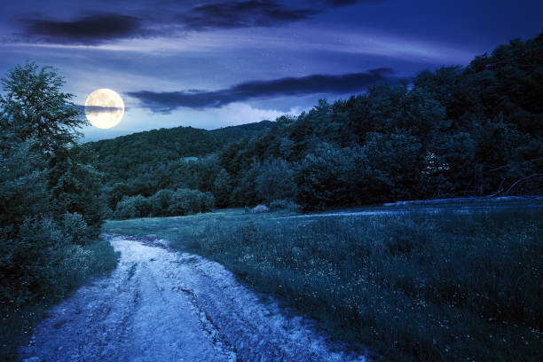 istock dirt road through forested countryside at night 1319630091