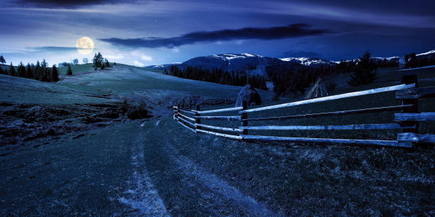 istock mountainous rural landscape at night in spring 1319630140