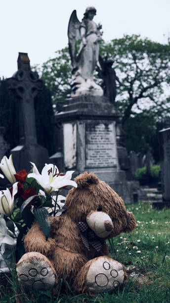 istock Glasnevin Cemetery, Dublin. Wet teddy bear 1319633675