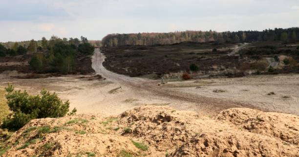 istock Bridle way. Hoge Veluwe 1319634016