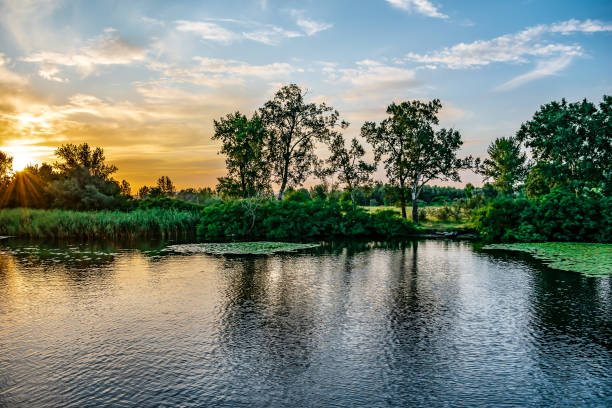 istock Sunset on the Konka River in Kherson (Ukraine) 1319634951