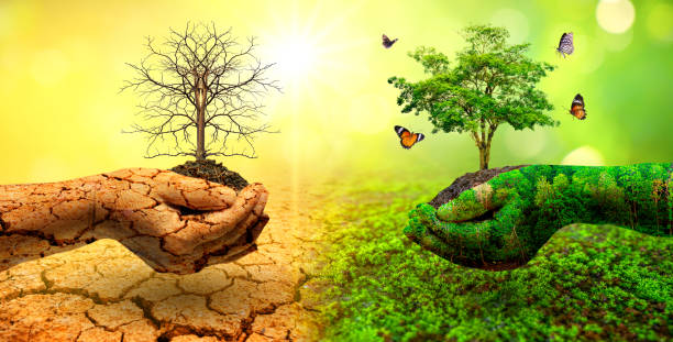 istock tree in two hands  with very different environments Earth Day or World Environment Day Global Warming and Pollution 1319635001