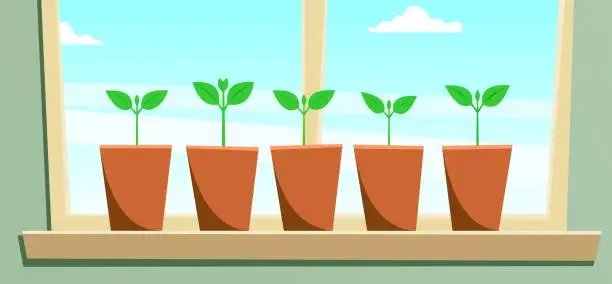 Vector illustration of Seedlings in pots are standing on the windowsill. Young plants with leaves, window, sky, clouds. Modern flat vector image.