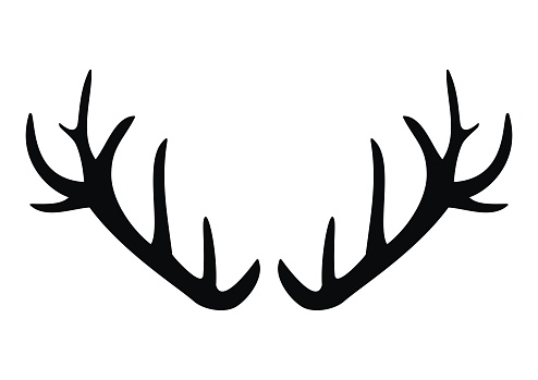 Antlers of deer, black vector conceptual icon on white background