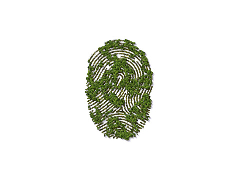 Fingerprint of trees 3d background. World environment day or earth day concept. World Forestry Day. Earth day green concept.