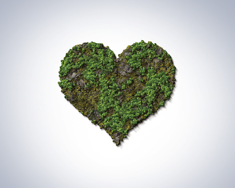 Love shape island or forest. Green nature love shape island. Fresh love concept valetine tourism or honeymoon concept. Environment day concept.