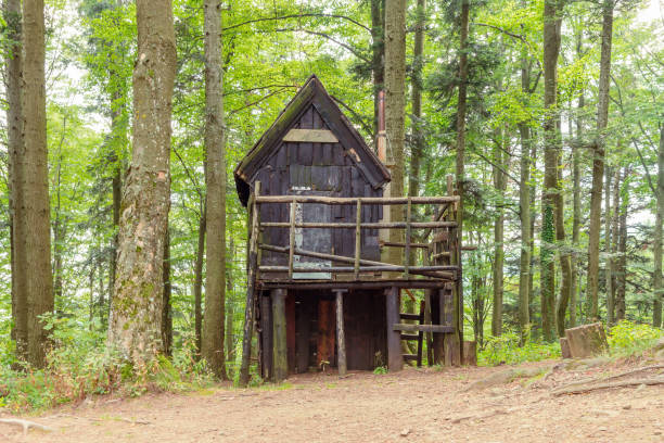 Hunting lodge in the forest, summer.