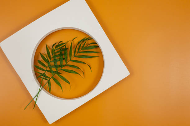 istock Green palm branches with geometrical forms for product presentation over an orange background. Flat lay, top view, copy space. Mockup, summer holidays, vacation, travel, fashion concept 1319640638