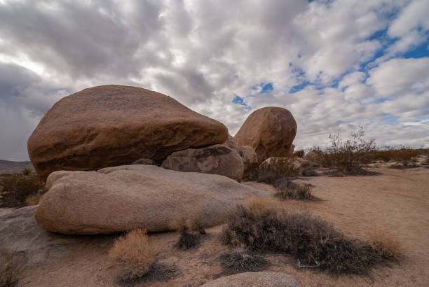 Turtle like boulder at Joshua Tree National Park, CA, USA.
