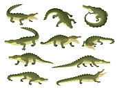 istock Set of green crocodile character big carnivore reptile cartoon animal design flat vector illustration isolated on white background 1319642584