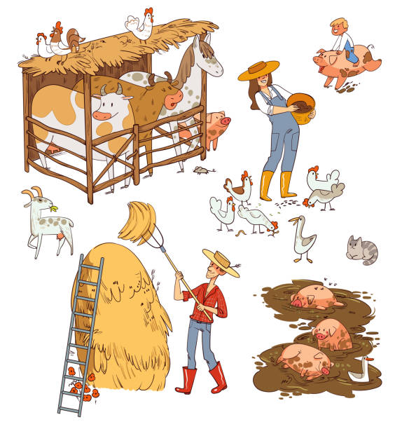 農場生活和農場動物。有趣的卡通人物 - 畜欄 幅插畫檔、美工圖案、卡通及圖標