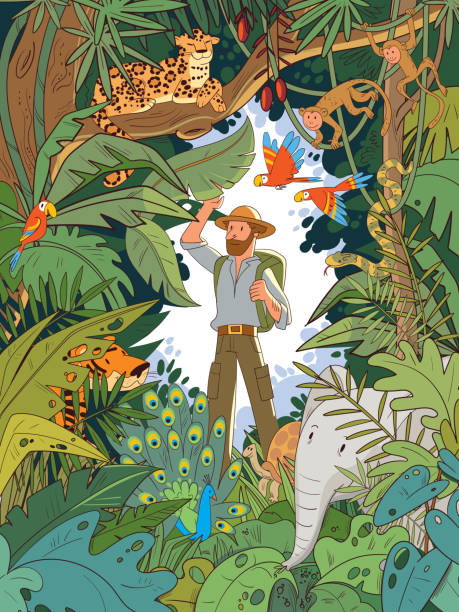 インドのジャングルの探検家は隠された動物の中に立っています - turtle backgrounds humor vector点のイラスト素材／クリップアート素材／マンガ素材／アイコン素材
