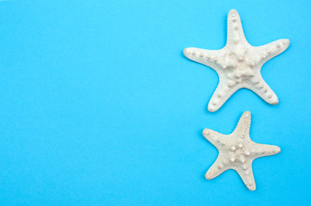 istock Travel background. Starfishes on a blue background 1319645635