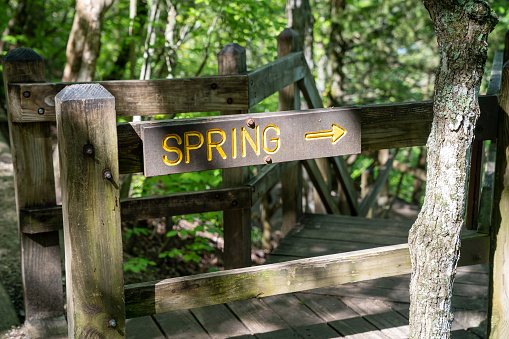 The blue arrow shows the direction of the trail in the mountains.