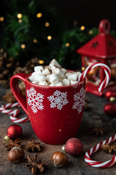 istock Hot cocoa with marshmallows and spices. Christmas concept 1319646483