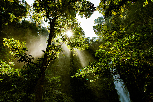 Sawer waterfall is one of the soothing tours