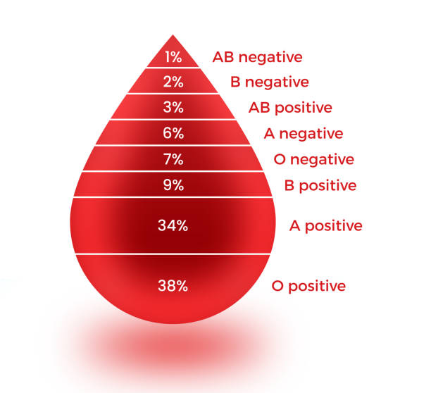 ilustraciones, imágenes clip art, dibujos animados e iconos de stock de infografía de tipos sanguíneos - blood blood donation blood cell drop