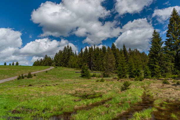 Prebuz village with fresh meadows and forests in Krusne mountains