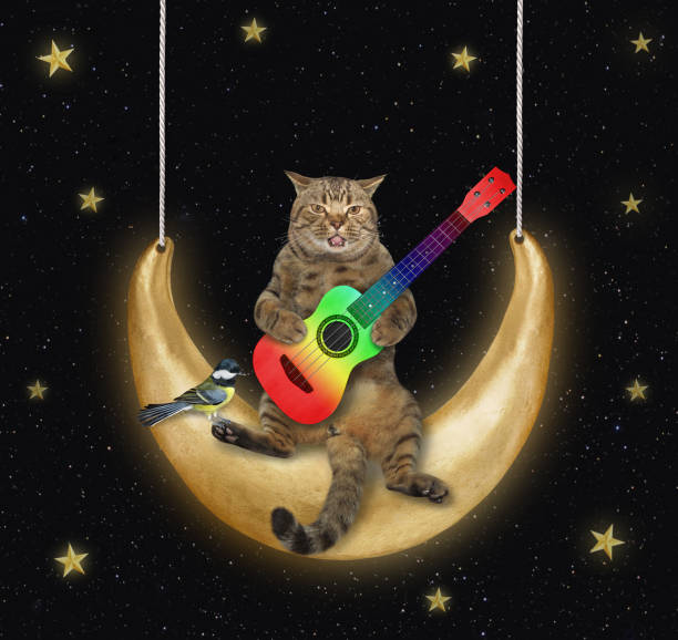 istock Cat with guitar swings on moon 1319647483