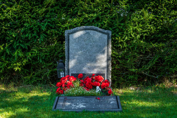 Horndal, Sweden, 18-08-2020.\nA single nameless gravestone decorated with red flowers, standing against a fir hedge with some sunlight shining on it