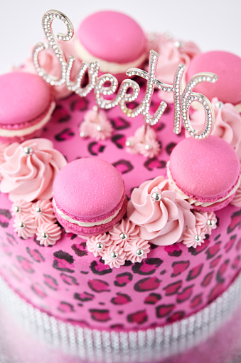 A pink sweet sixteen birthday cake. There’s leopard print on the cake and on top are a pink mousse with silver balls on it and pink macarons. A silver ribbon does the trick at the bottom of the cake.