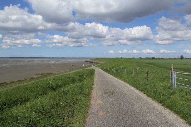 istock a coast landscape in zeeland with mudflats along  scheldt river 1319648802