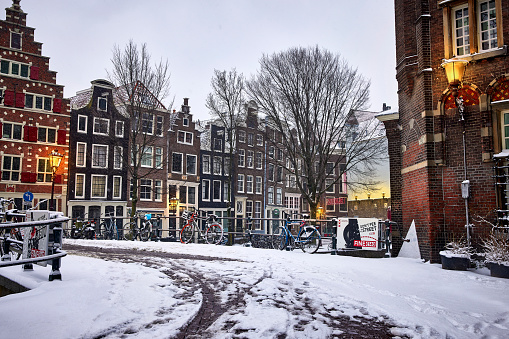 A canal street in the old part of Amsterdam in winter. The streets are empty and covered in white from the snow. The sky is grey and trees stand tall next to the canal.