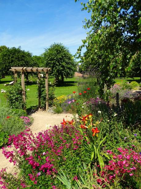 istock A path and flowers in a public park 1319653190