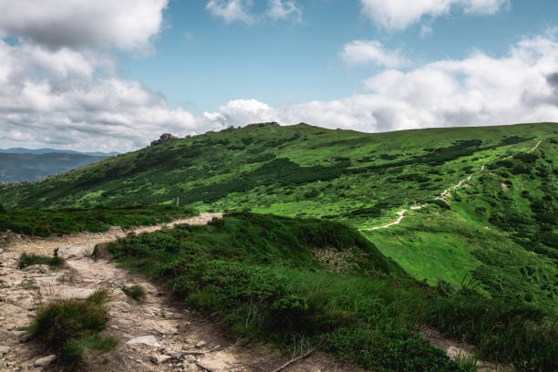 istock view of summer mountains range. beautiful landscape 1319654447