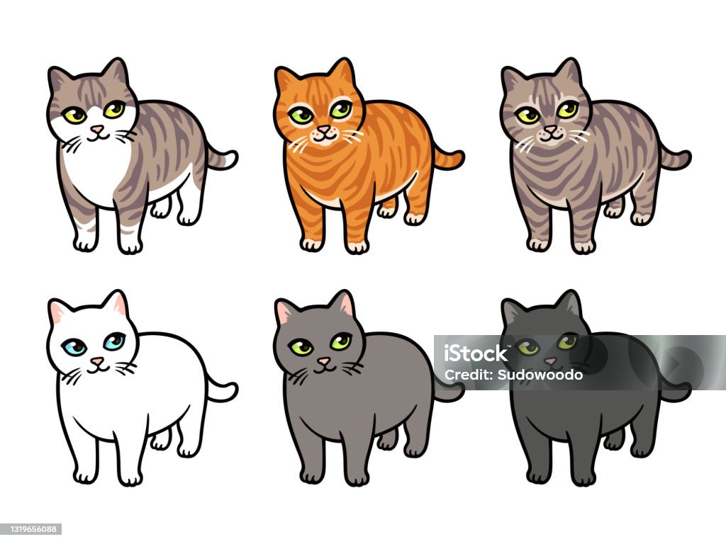 Cartoon Cat Breed Drawings Set Stock Illustration - Download Image Now -  Illustration, Orange Color, Tabby Cat - iStock