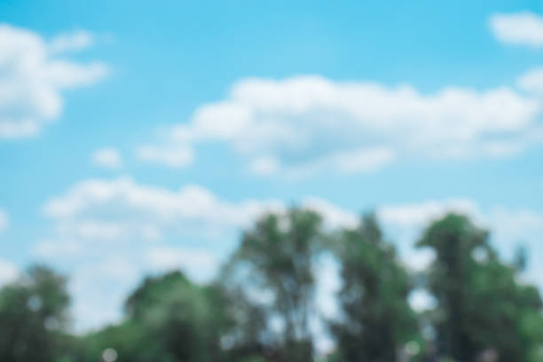 istock Blurred clouds and green trees, natural background 1319656679
