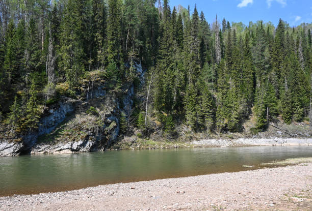 istock Rocks on the taiga river. 1319656807