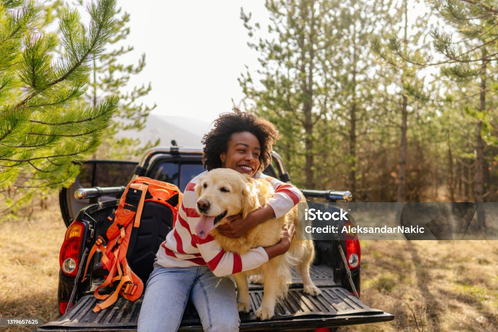 Young woman on a road trip with her best friend Photo of young smiling woman on a road trip with her best friend, her retriever dog, riding along on their pick up truck Dog Stock Photo