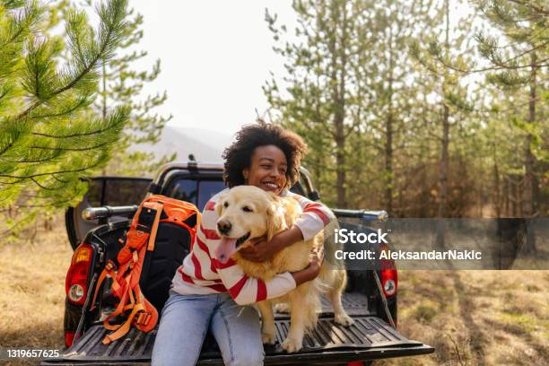 年輕女子與她最好的朋友在公路旅行 照片檔及更多 狗 照片 - 狗, 秋天, 女人