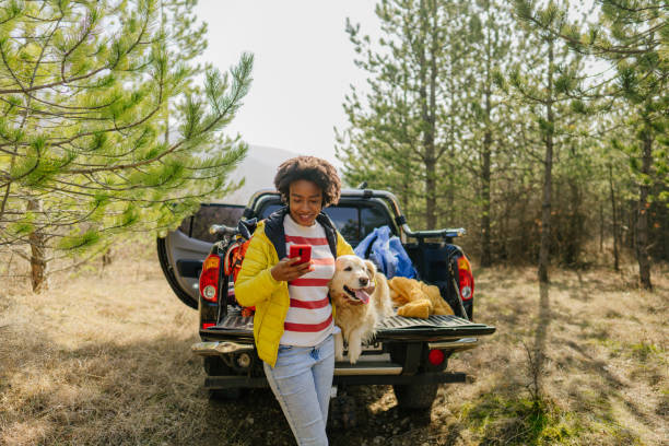 istock Young woman using mobile phone while on a road trip 1319657799
