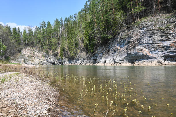 istock Rocks on the taiga river. 1319657852