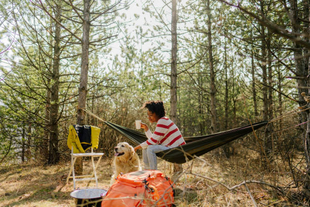 istock Camping out with my dog 1319658259