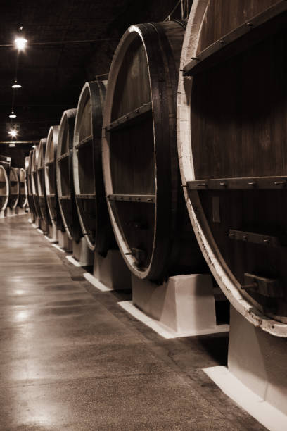 Dark wooden barrels in a winery basement Dark wooden barrels in a winery basement, vertical photo with selective focus inkerman stock pictures, royalty-free photos & images