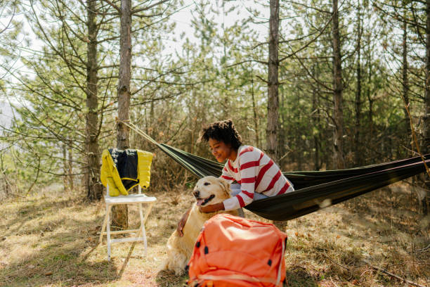 istock Camping out with my dog 1319659041