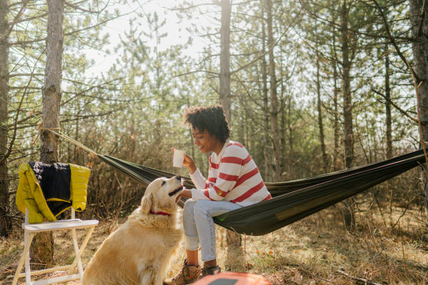 accampati con il mio cane - campeggiare foto e immagini stock