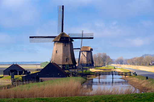 Dutch windmills along a canal with reed and a meadow alongside. The location is Schermerhorn, Netherlands.
