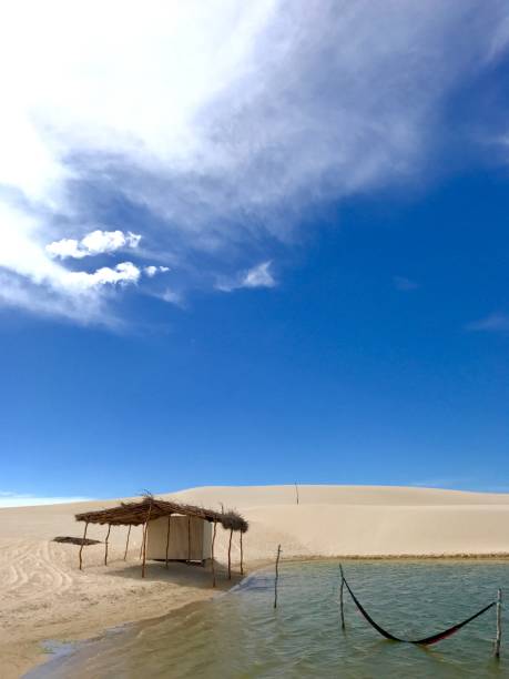 Turquoise green emerald rainwater lake lagoon in the middle of a golden yellow dunes at Jericoacoara Jeriquaquara, Brazil Landscape view of an oasis with a turquoise green emerald rainwater lake lagoon in the middle of a golden yellow dunes at Jericoacoara Jeriquaquara, Ceará State, on Northeast Brazil, at midday with a cloudy blue sky in a summer hot day.
Picture with copy space.
Jericoacoara Jeriquaquara is a famous oasis with sand dunes, lakes, turquoise beaches, palm trees and a little town in the middle of desert very popular for national and international backpacker tourists. brazil desert maranhao state national park stock pictures, royalty-free photos & images