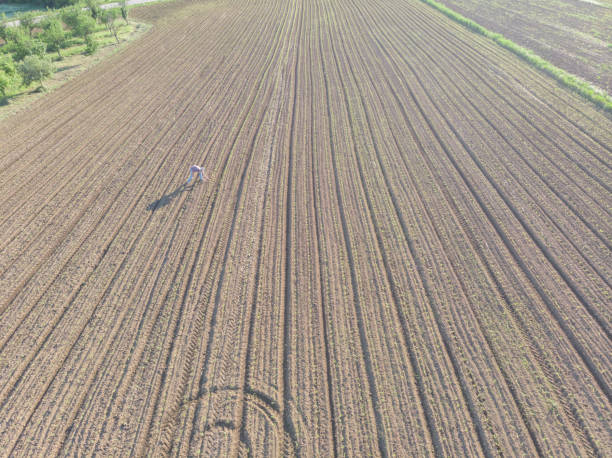 istock Agricultural field work from drone point of view 1319662507