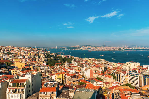 istock Beautiful Bosphorus Bird's-Eye View, Istanbul, Turkey 1319666937