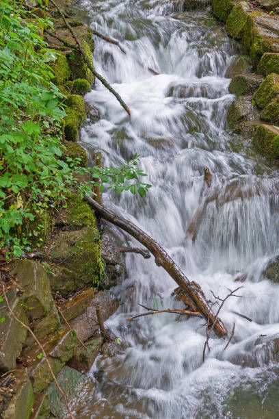 istock Forest landscape in Bergisch Gladbach, Germany 1319668592