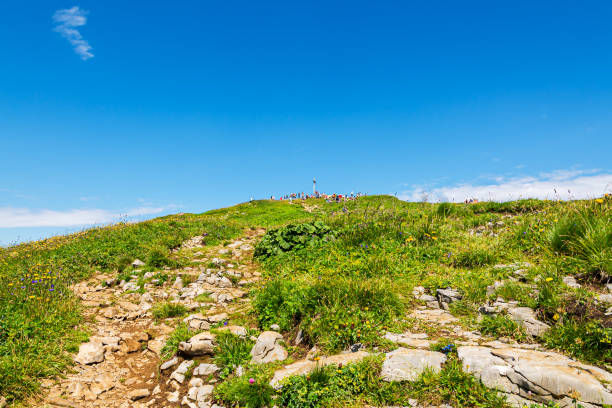 Summit of the mountain Hoher Ifen (2230 m),Kleinwalsertal, Austria