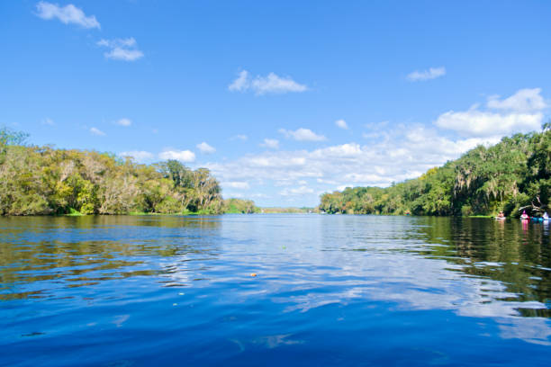istock Blue Sky, Clear Springs and Lush Forest 1319669991